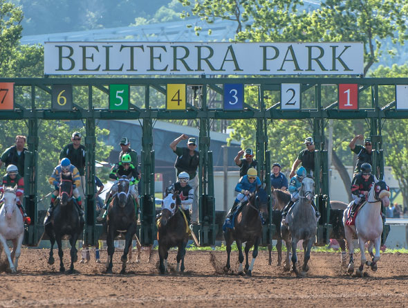 horse racing image